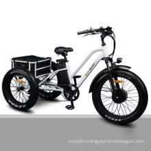 Strong Durable Throttle Type 24"*4.0 Inch Electric Fat Tire Trike